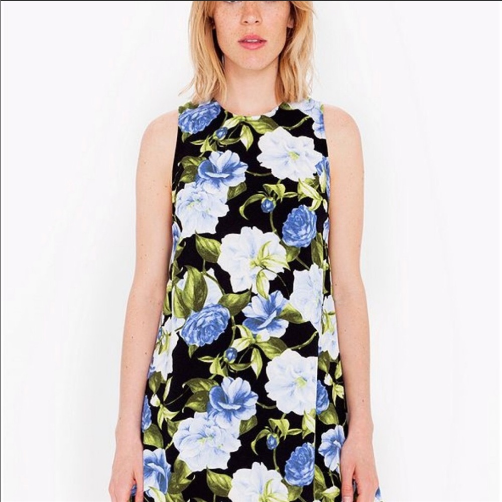 American Apparel Dakota Dress in “Garden Floral”